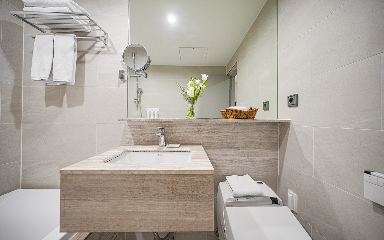 메인더블룸